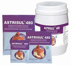 Astrisul 480 Sachet 100G - prix adjamé
