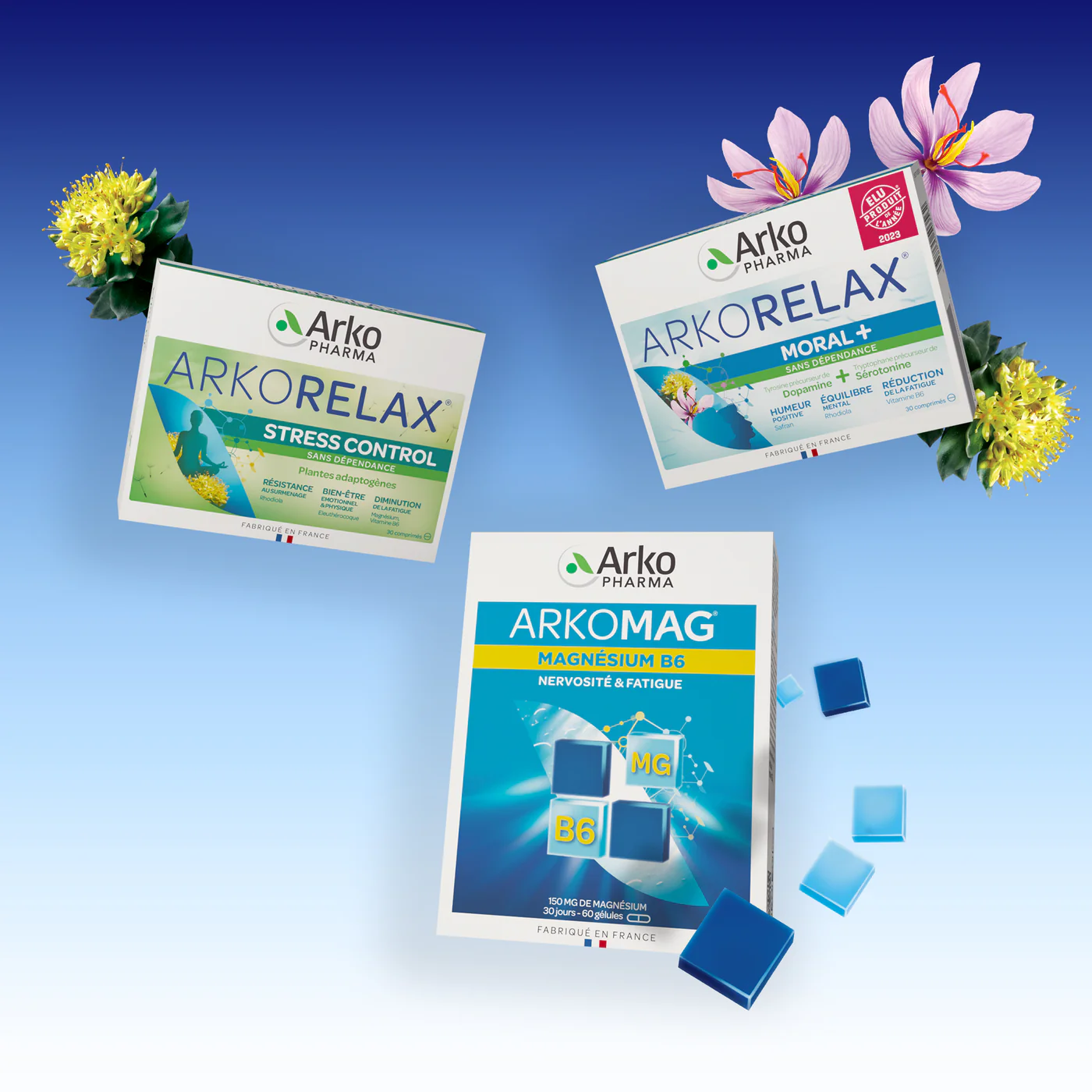 Arko Arkomag Magnesium Vit B6 Gel B/30 prix
