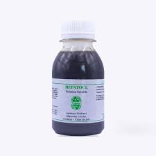 Hepatoul S.Buv 125Ml - prix adjamé