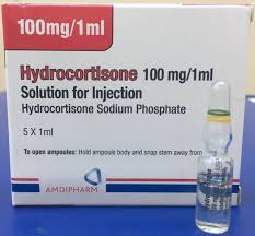 Hydrocortisone 100Mg Inj/1 Upj - prix adjamé